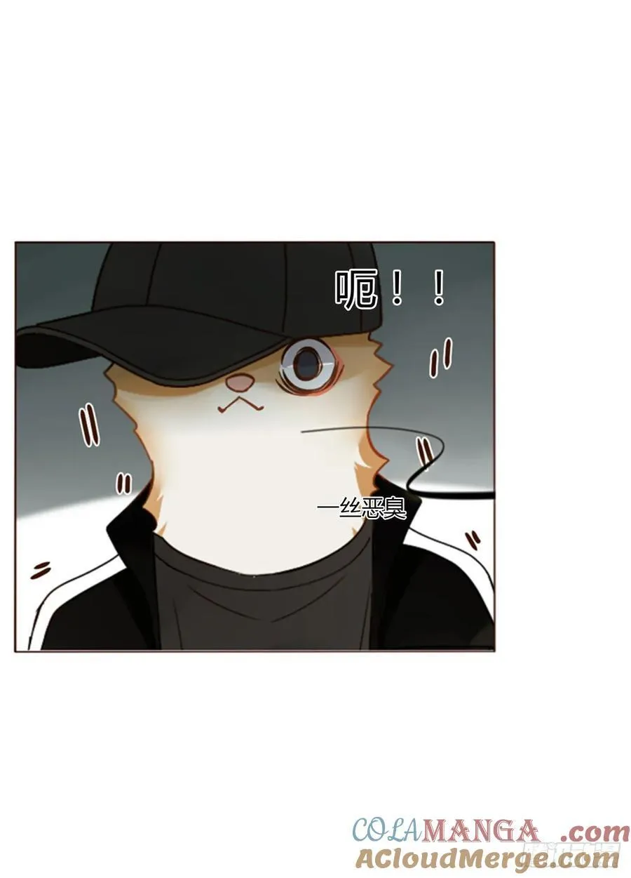一四一章 叶梓6
