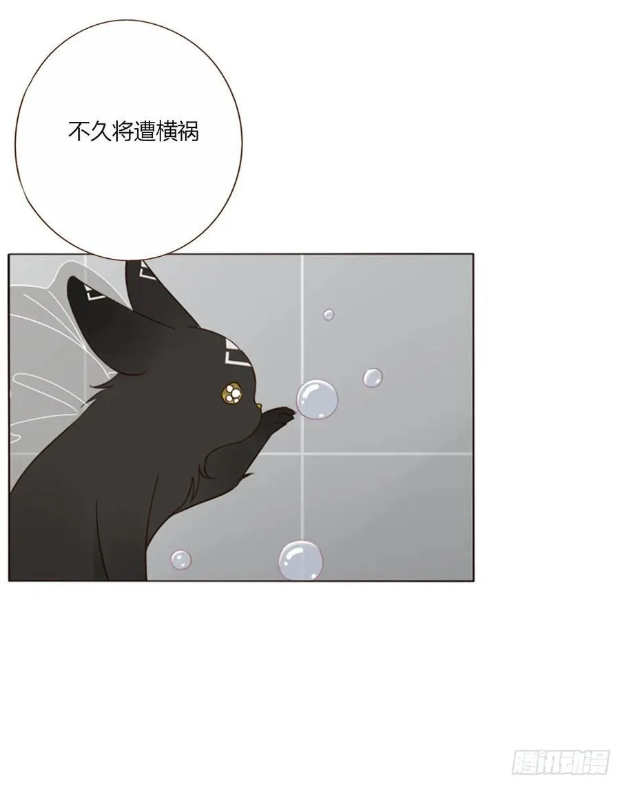 一四二章 六爷爷13