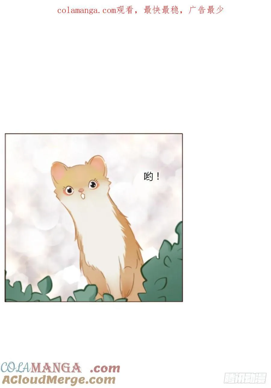 一四一章 叶梓0