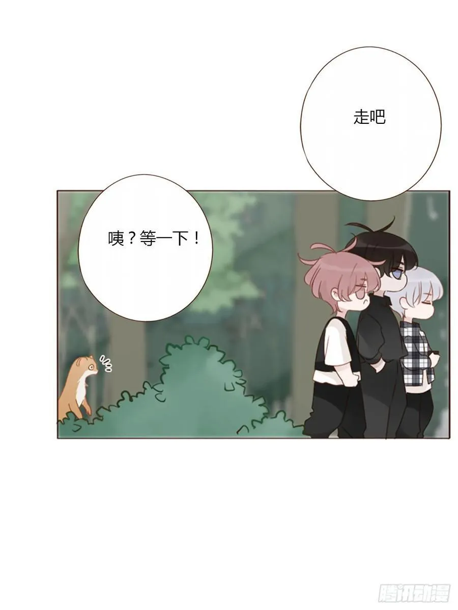 一四一章 叶梓3