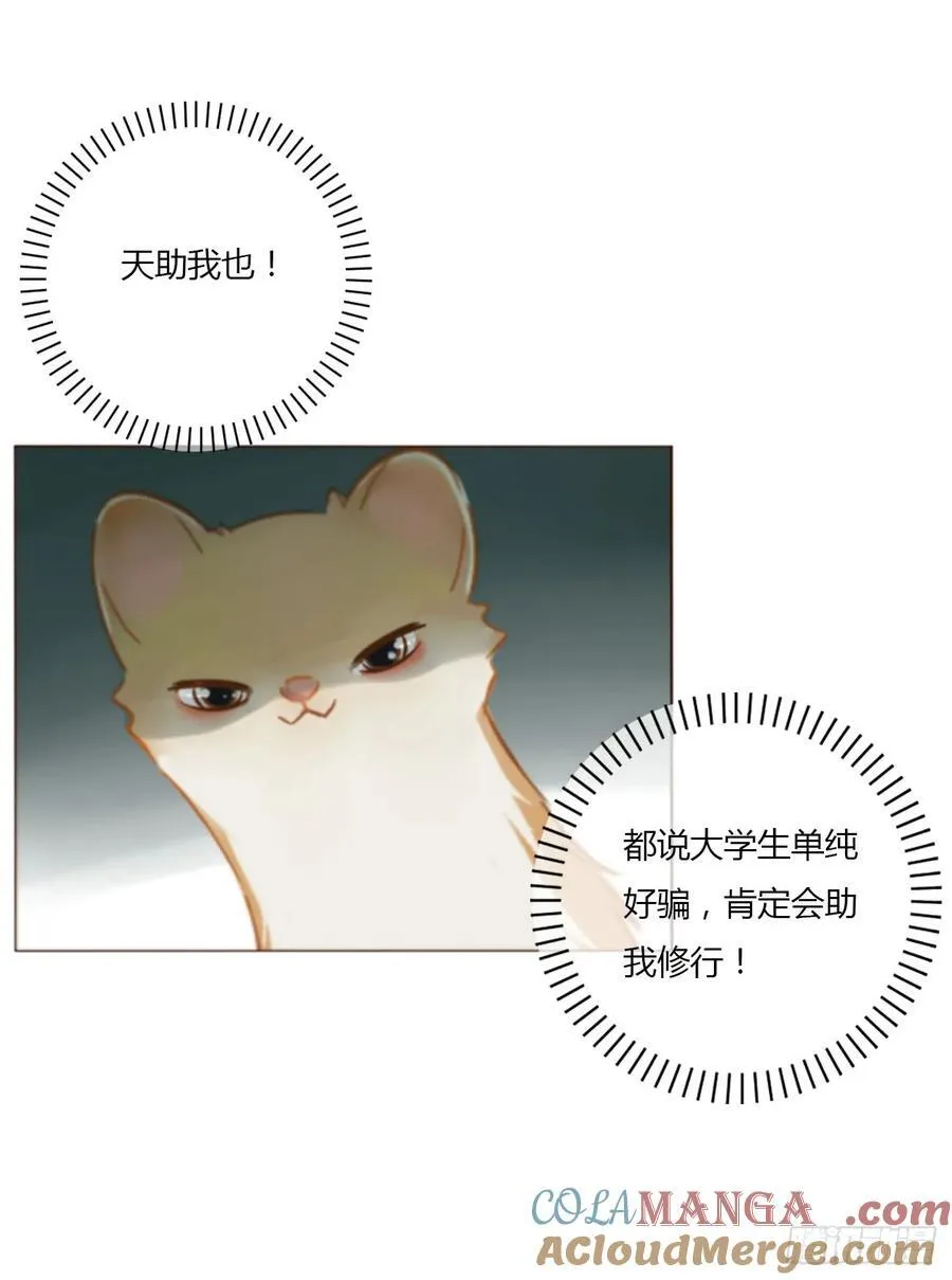 一四一章 叶梓2