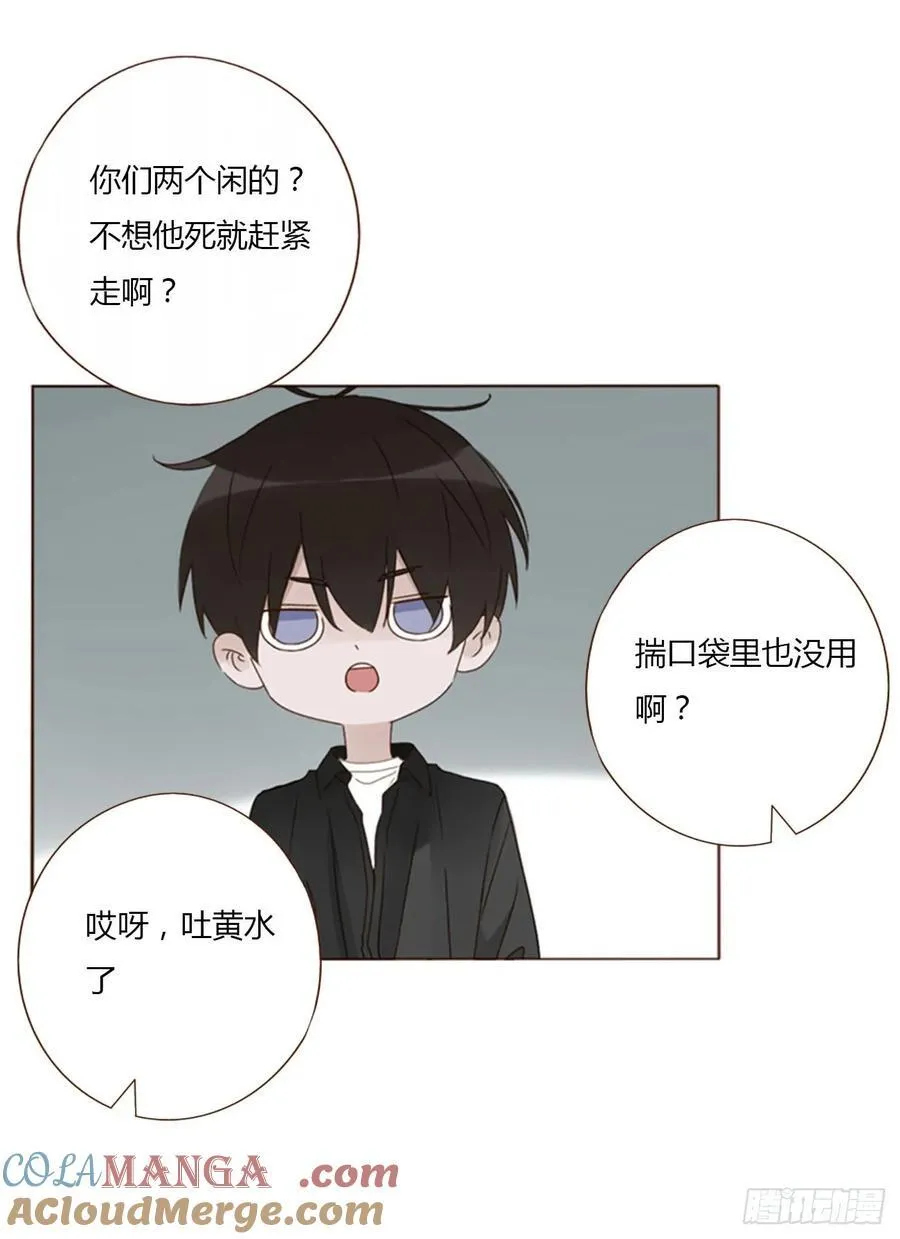 一四一章 叶梓12
