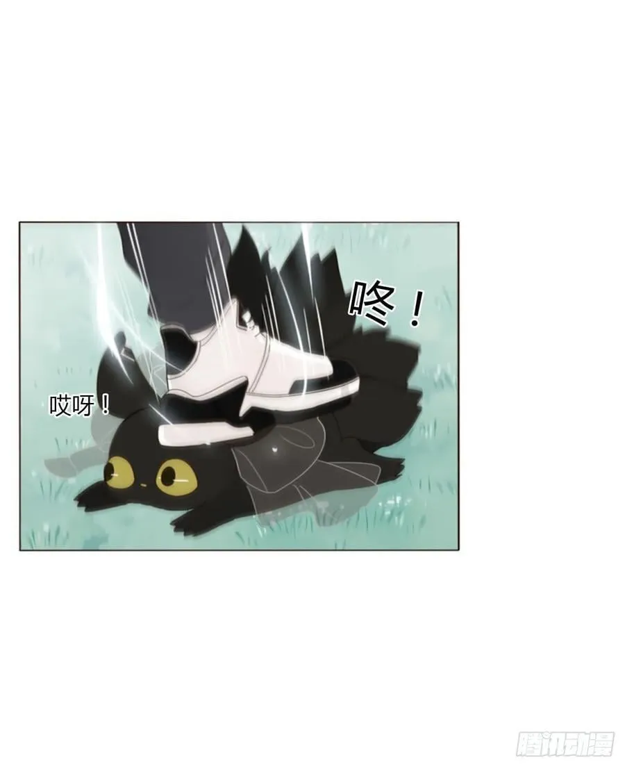 一四五章 小碗235