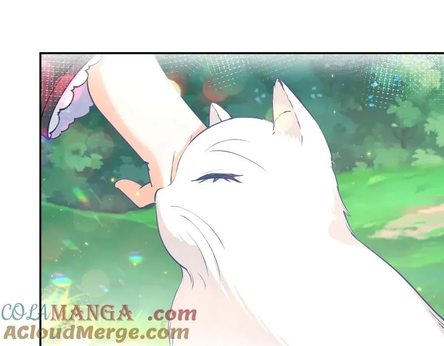 第263话 最后的愿望15