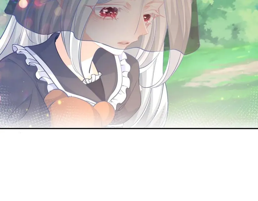第263话 最后的愿望14