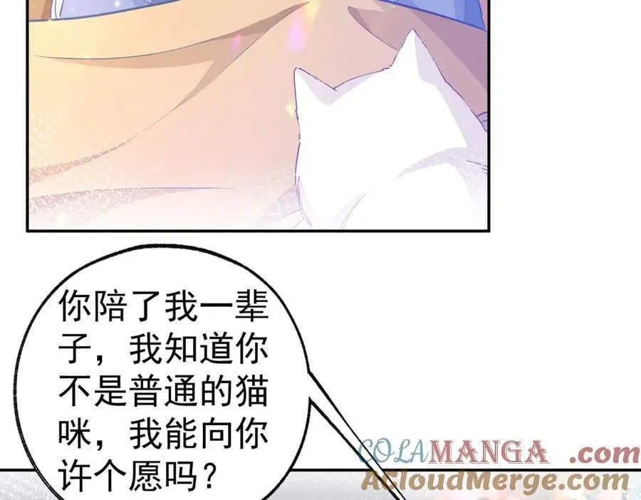 第263话 最后的愿望39