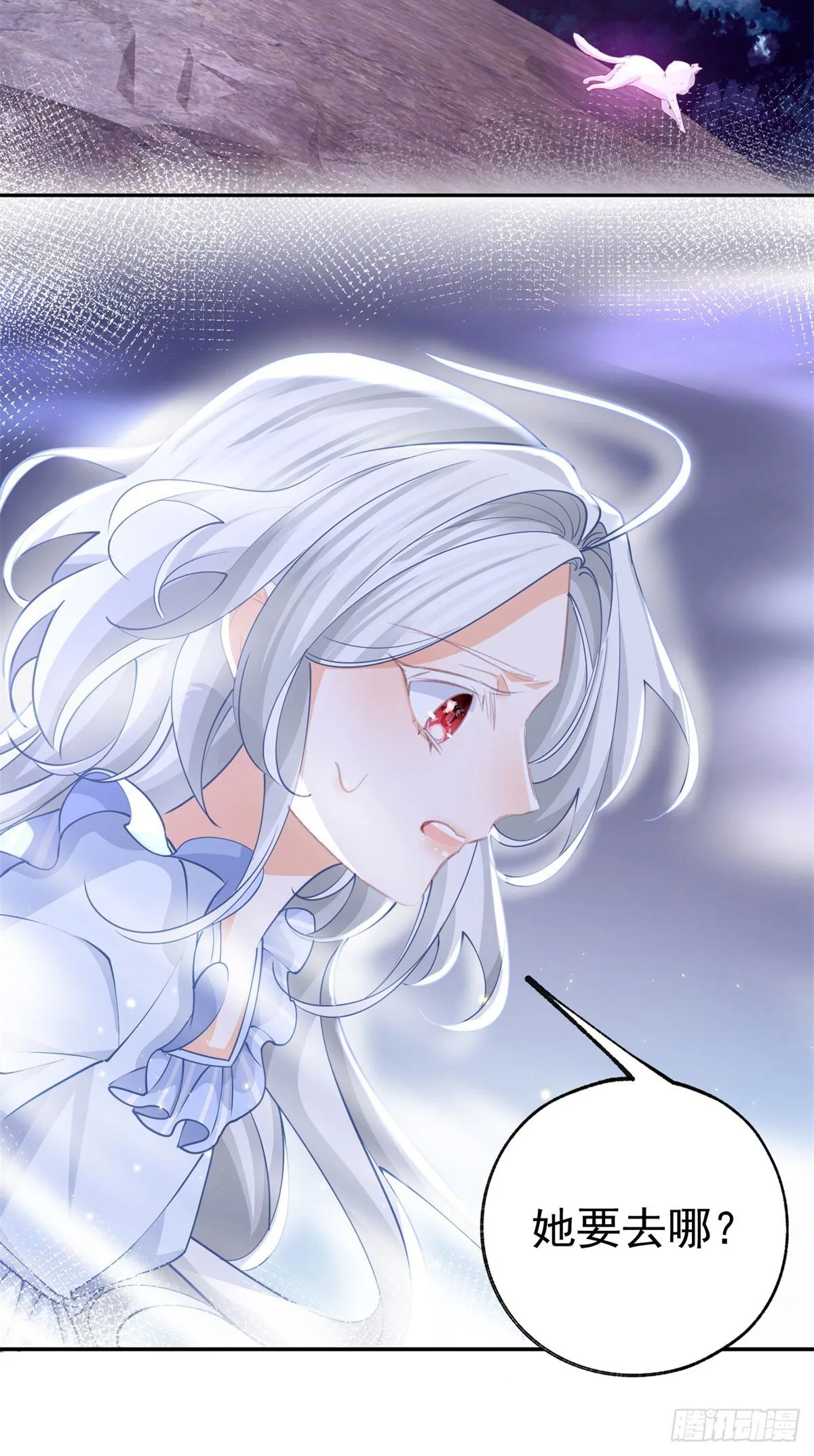 第262话 白猫的初登场15
