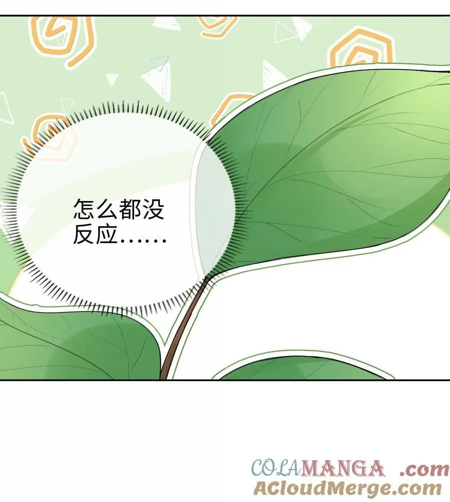 第112话 以后你就是麒麟的龙血树了14