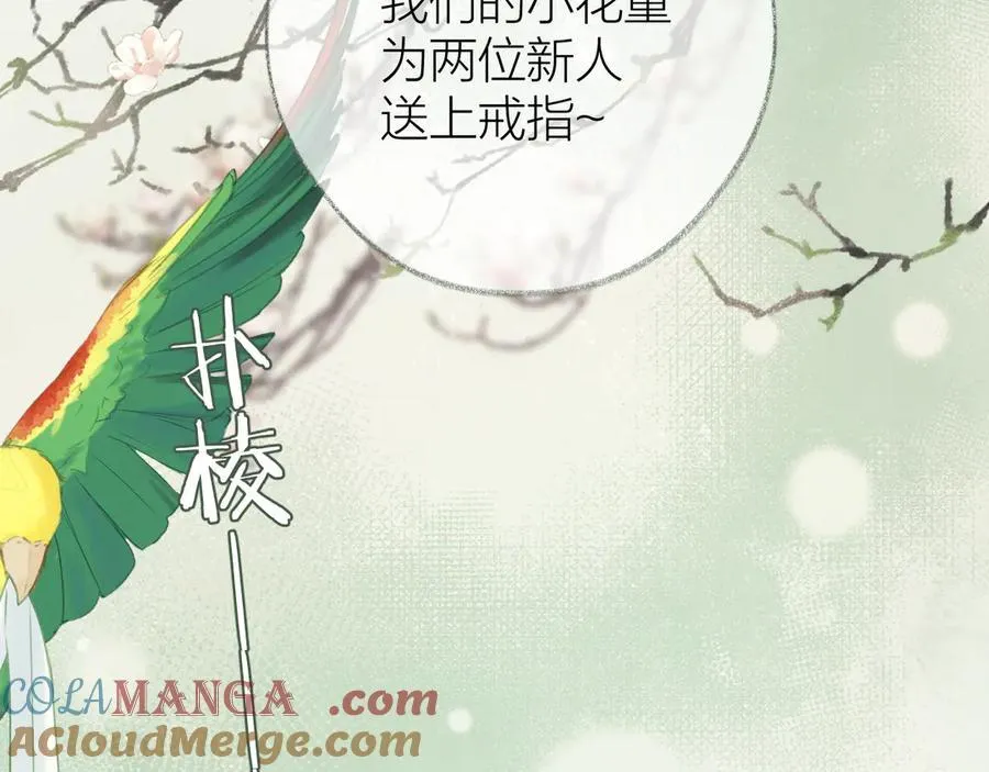 大结局 白首不相离108