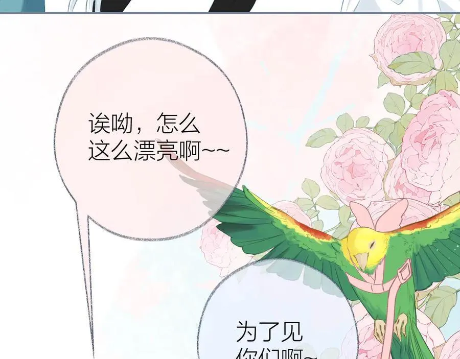 大结局 白首不相离57