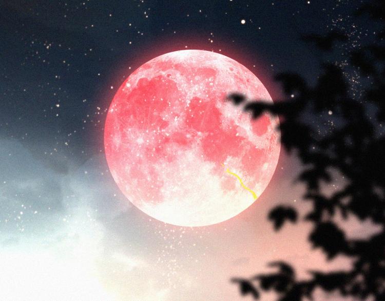 第142夜 走马灯与心脏132