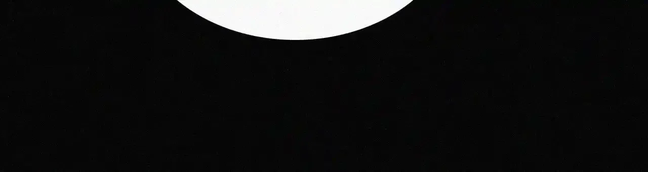 第218夜 她的替代品？44