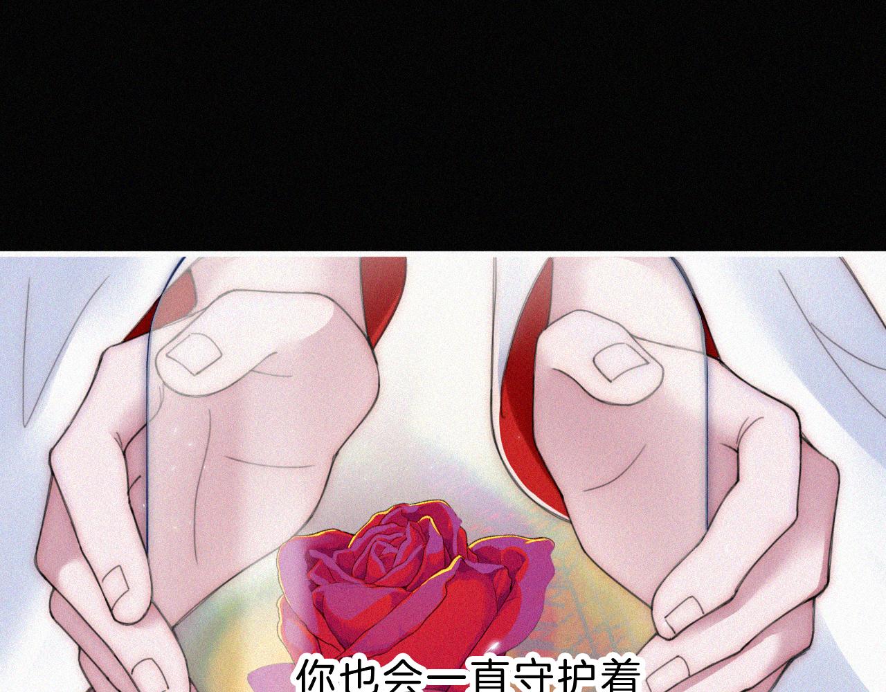 第181夜 红玫瑰56