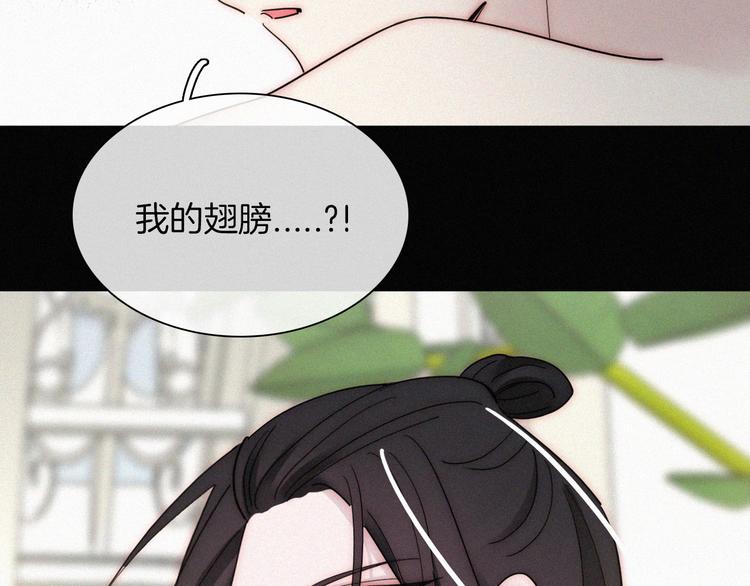 第135夜 亲吻你的代价45