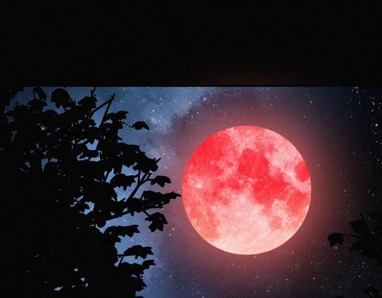 特别篇 今夜夜不眠79