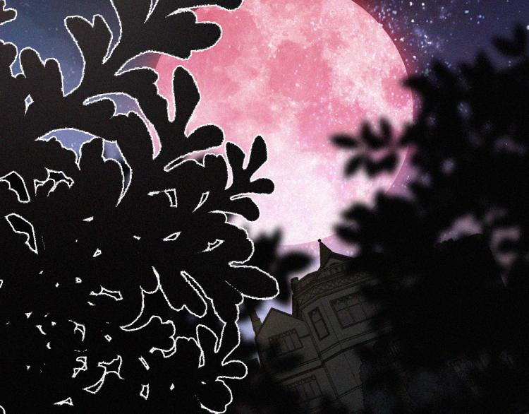 第139夜 黒夜，有所斯125