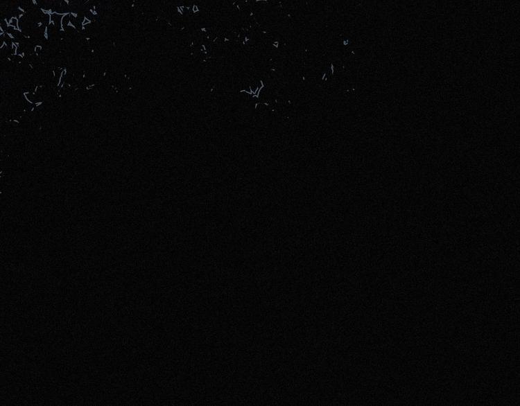 第63夜 淹没于黑夜195