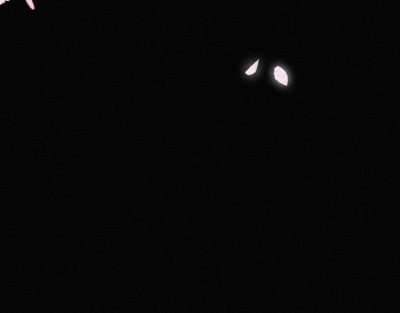 第167夜 在开始之前90