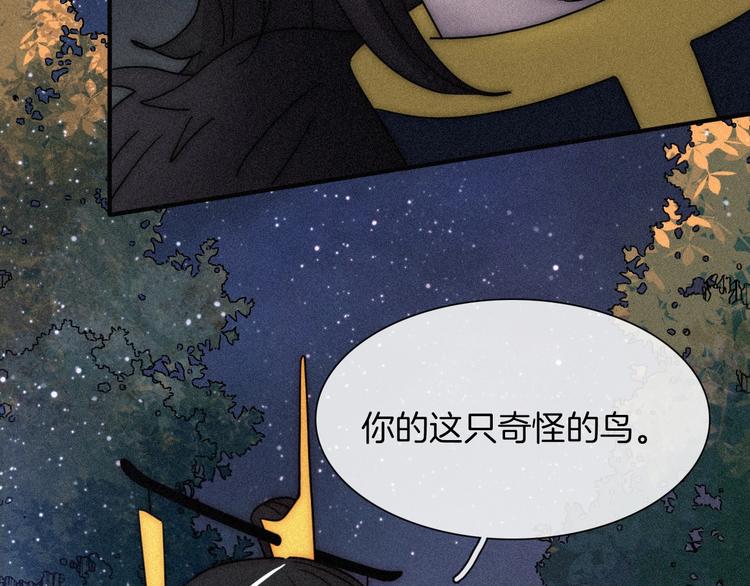 第78夜 跟随50