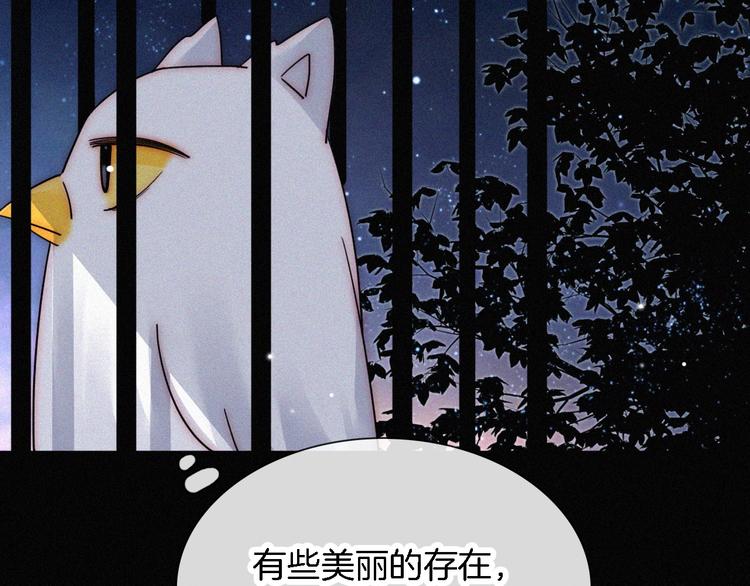 第94夜 若我们能只如初遇50