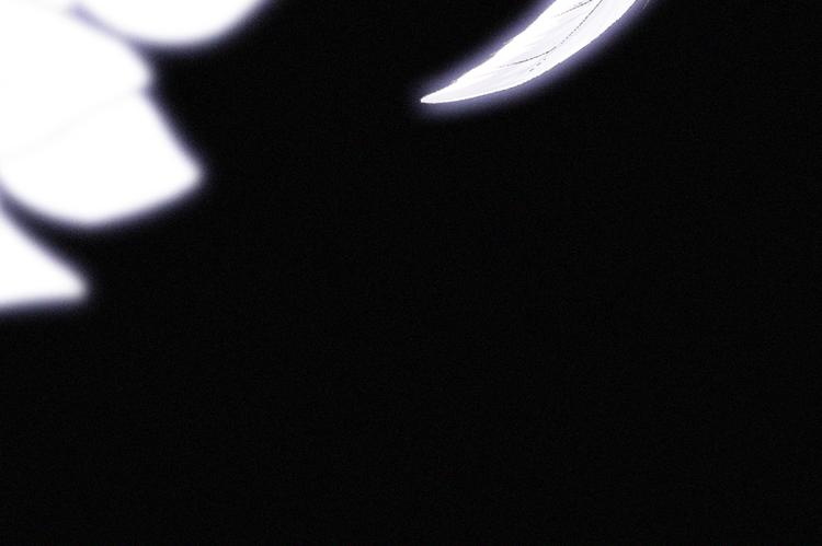 第124夜 神明诉说的秘密4
