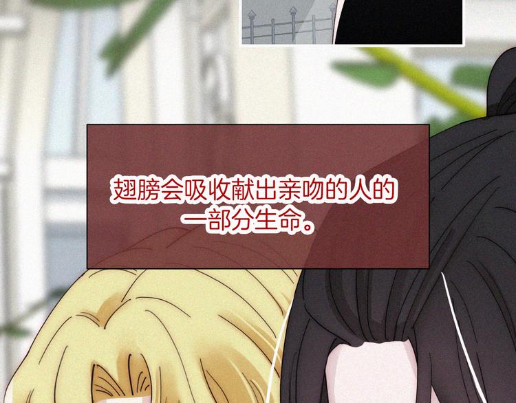 第135夜 亲吻你的代价60