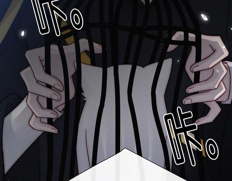第97夜 展翅不飞9