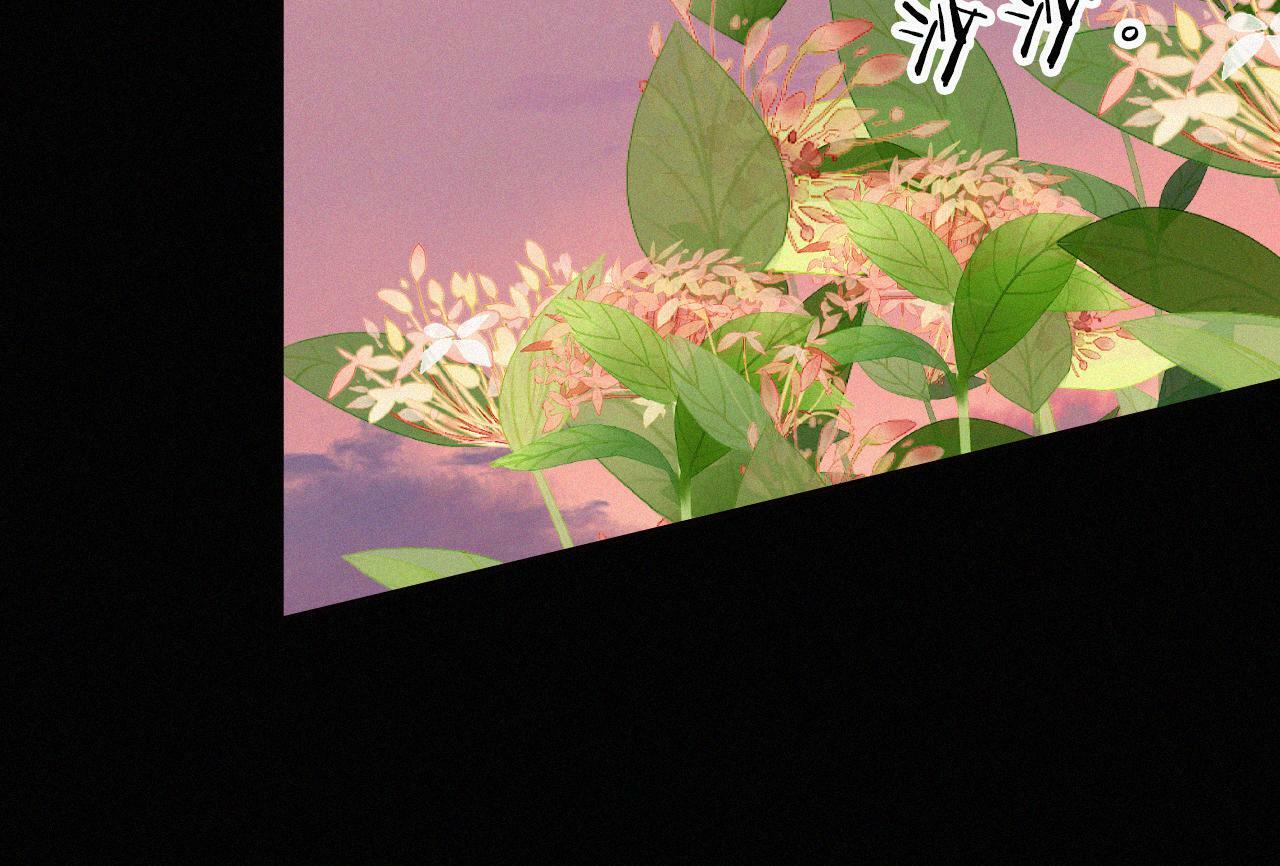 第211话 私奔72