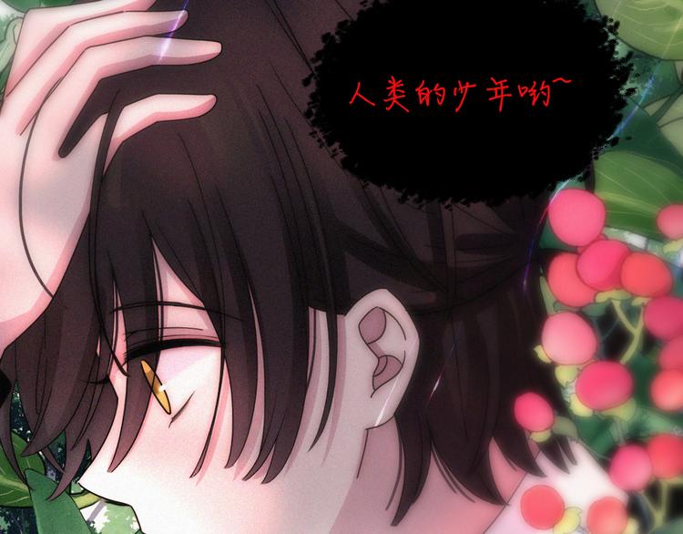 第116夜 消失56