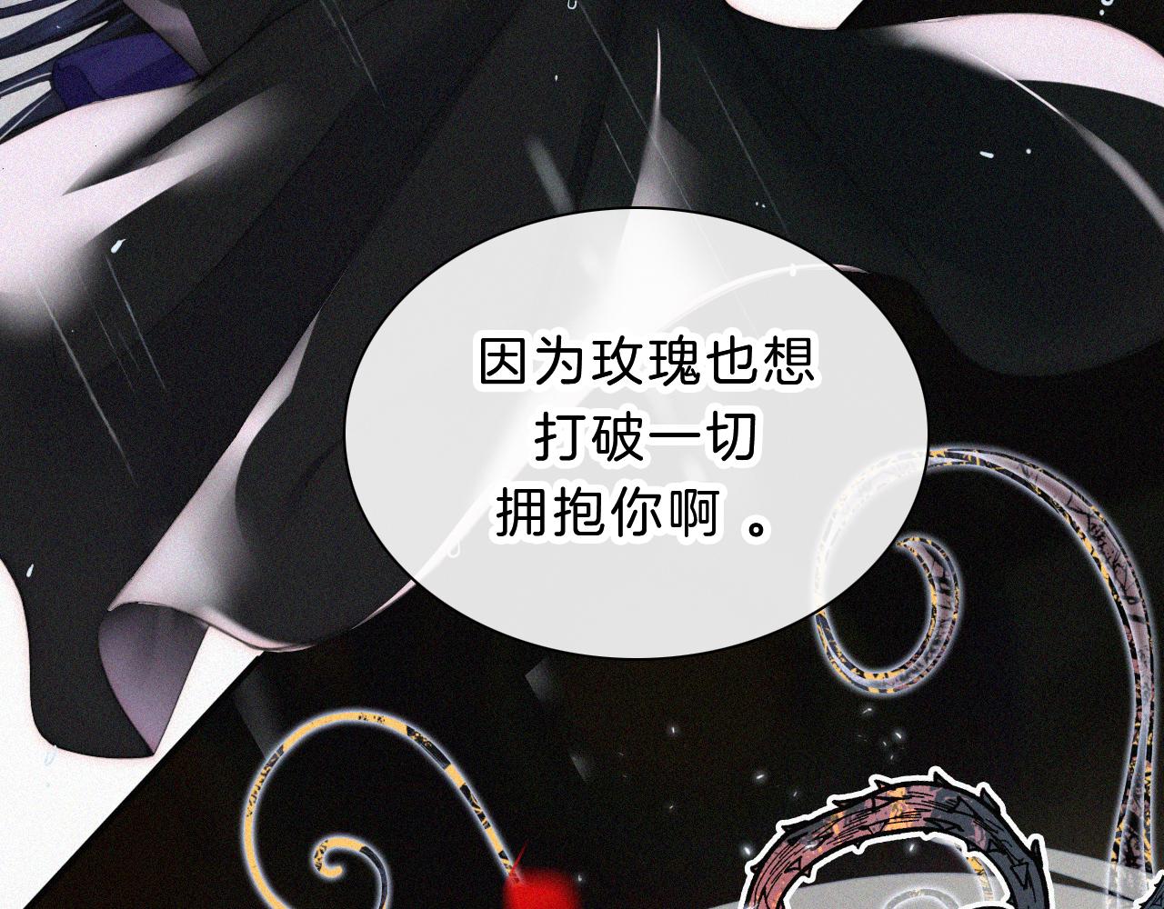 第181夜 红玫瑰66