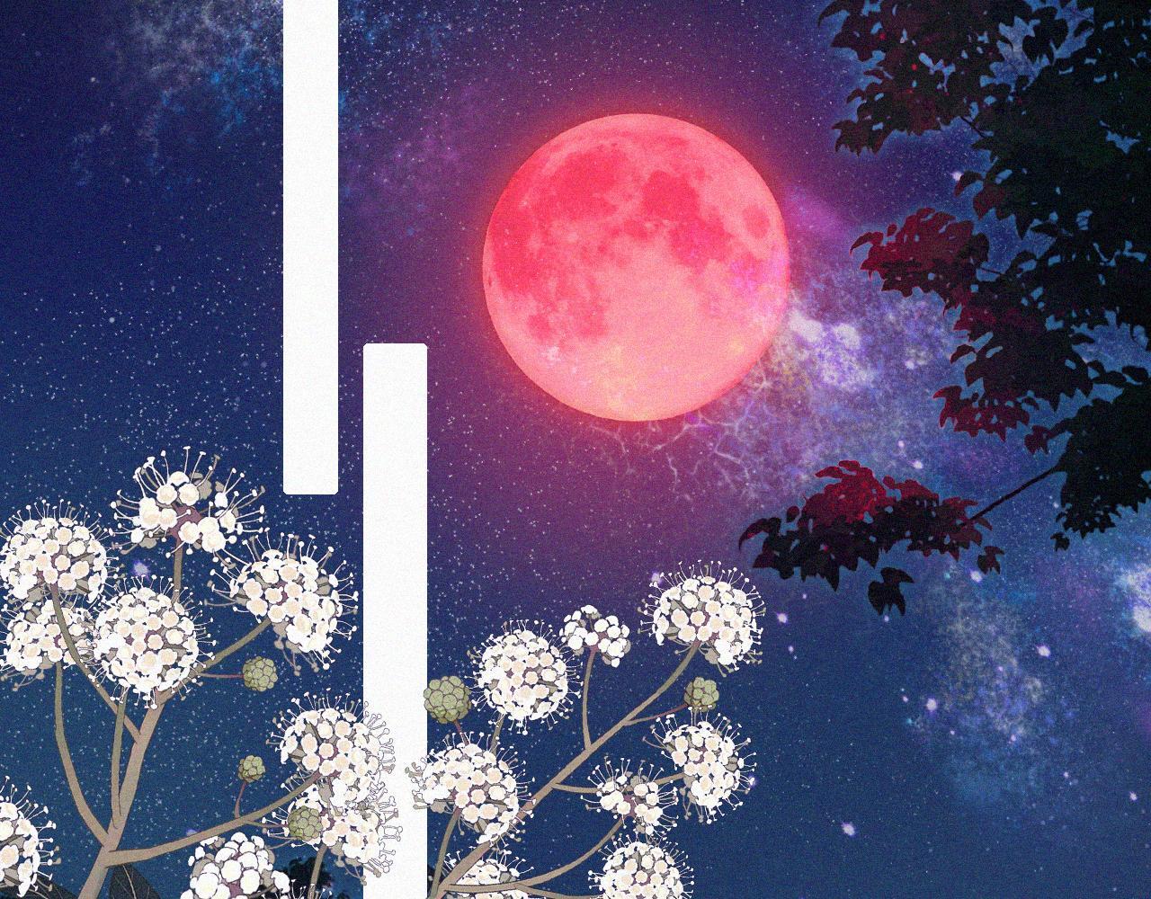 第217夜 虚灵的心脏53