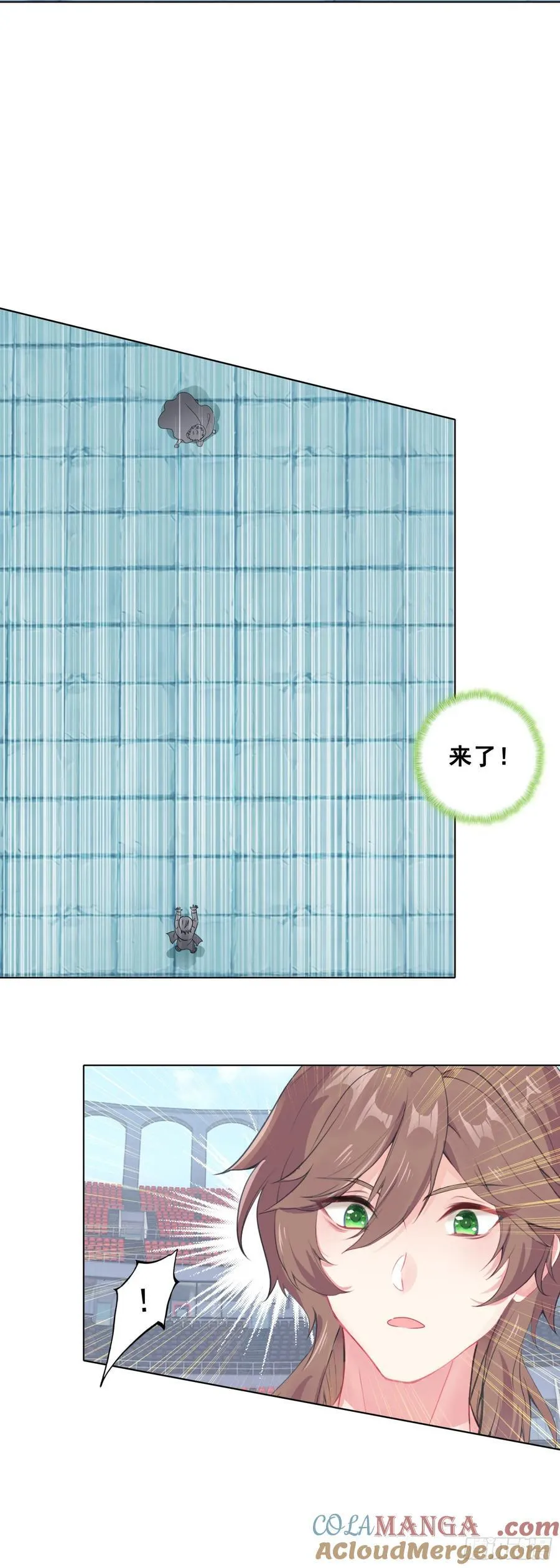 90 “绿叶”的测试12