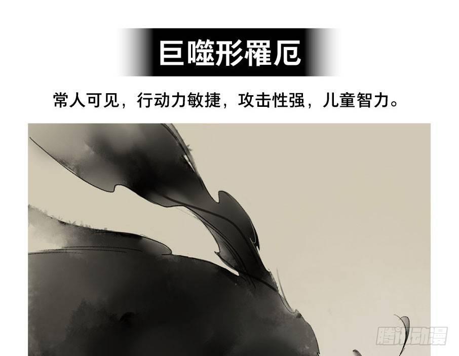小神龙的花絮28