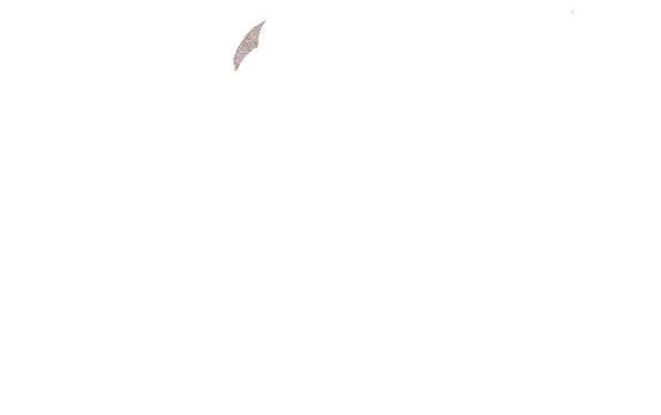 入局（四）6