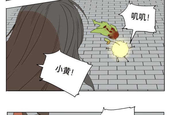 交锋（十一）10
