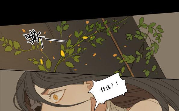 交锋（五）28