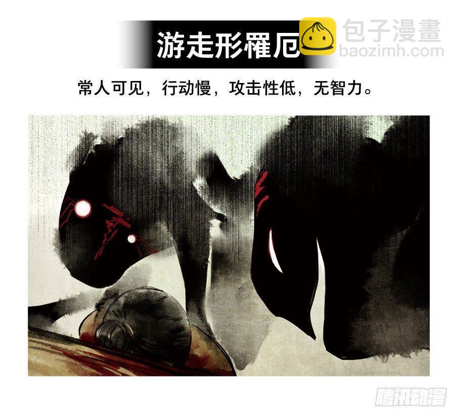 小神龙的花絮27