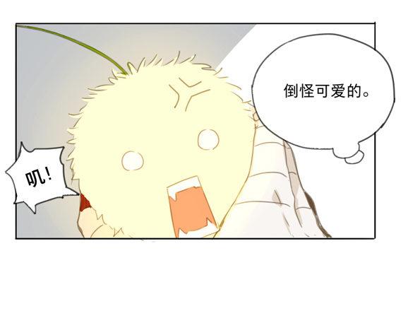 交锋（一）21