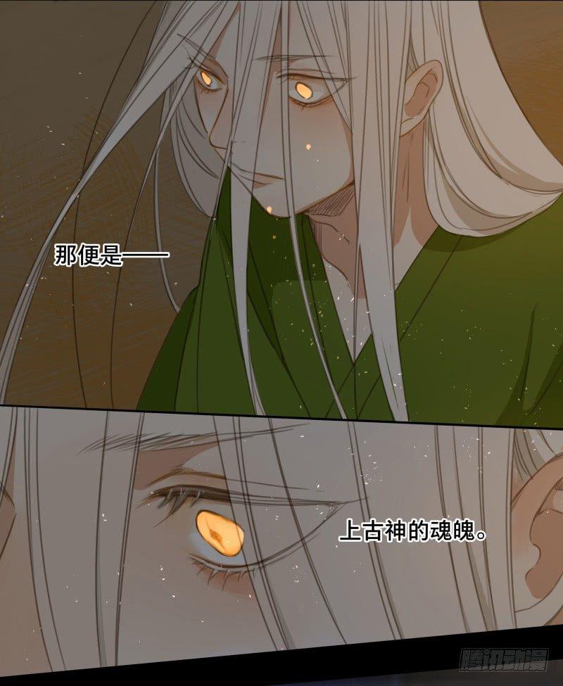 情局（二十二）31
