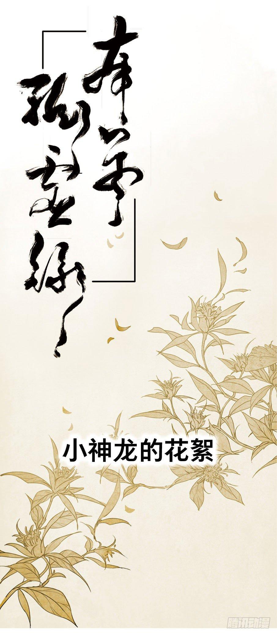 小神龙的花絮0