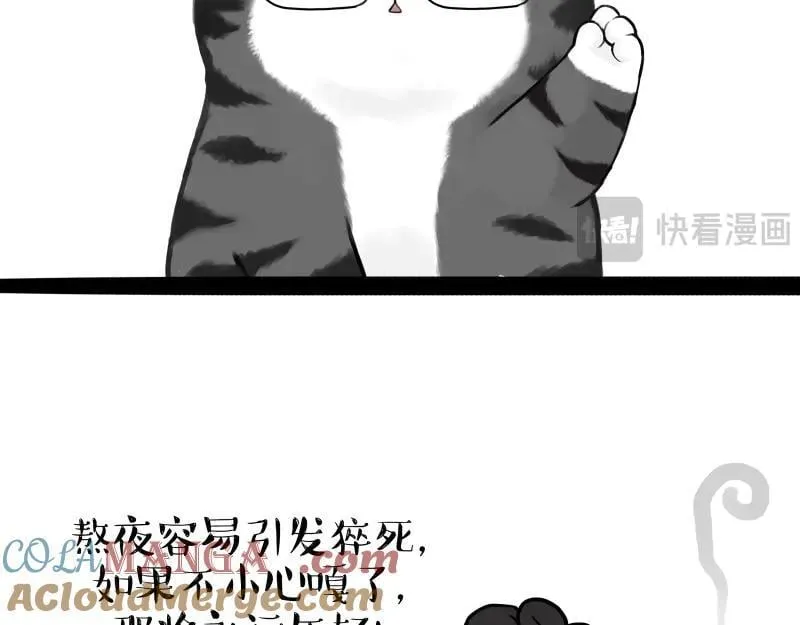 第431话 老大和老大？39