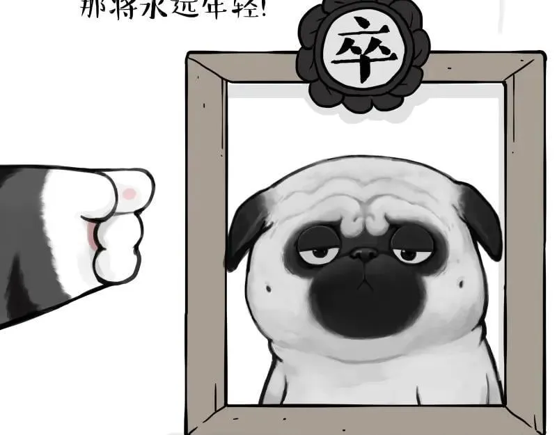 第431话 老大和老大？40