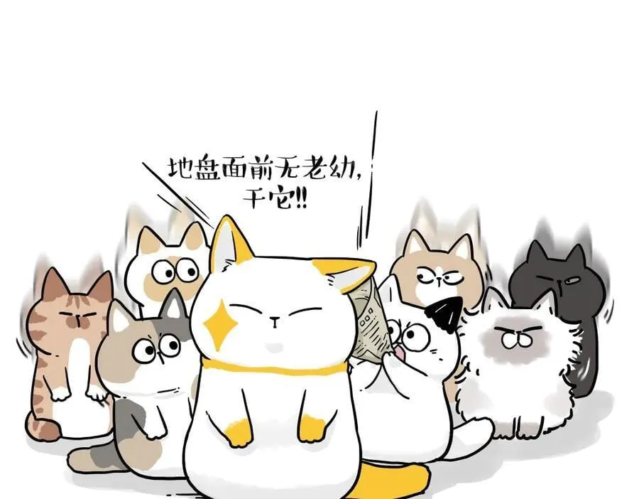 第431话 老大和老大？4