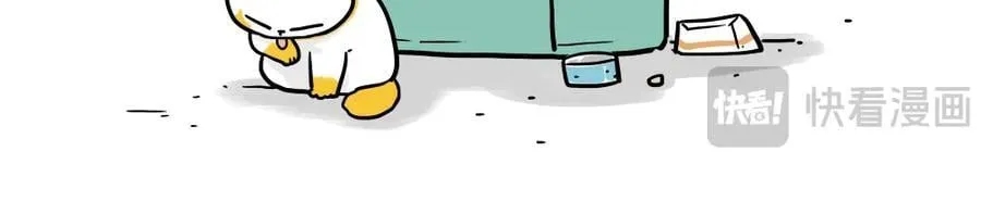 第431话 老大和老大？25