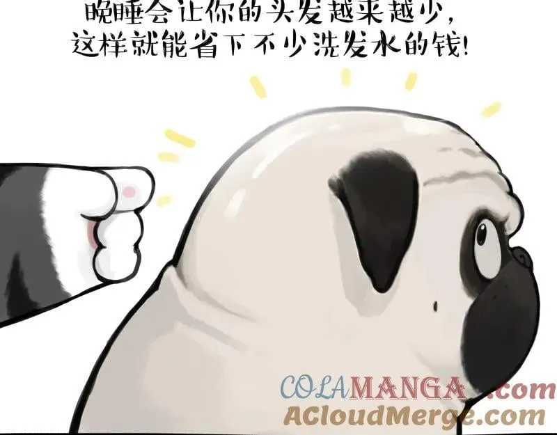 第431话 老大和老大？33