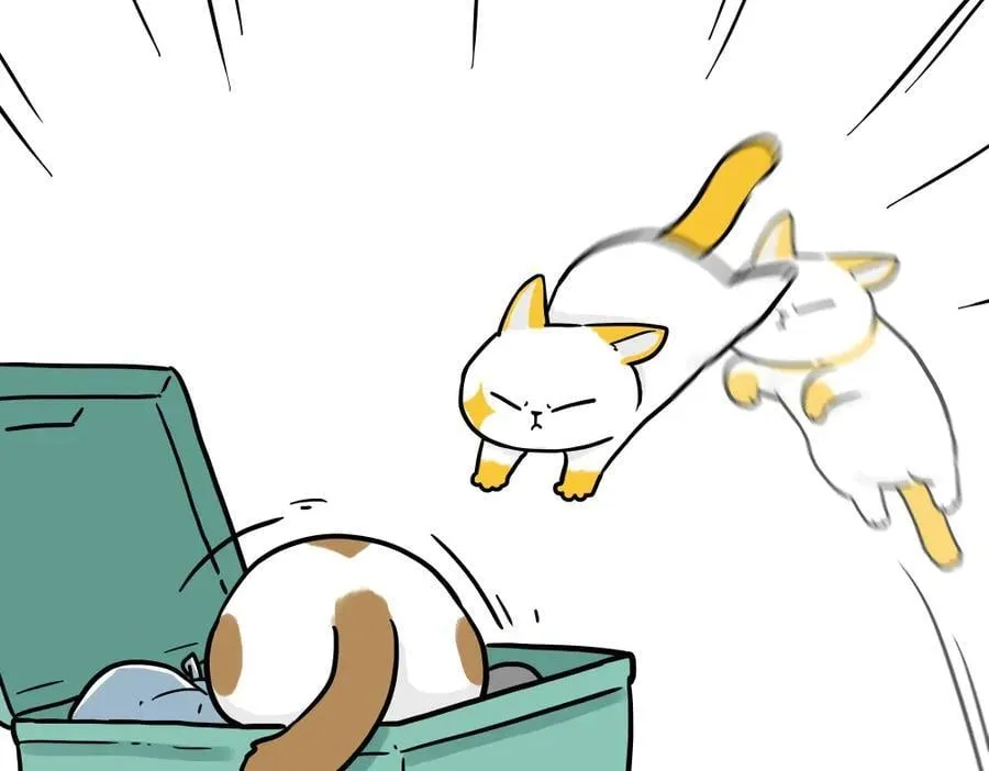 第431话 老大和老大？16