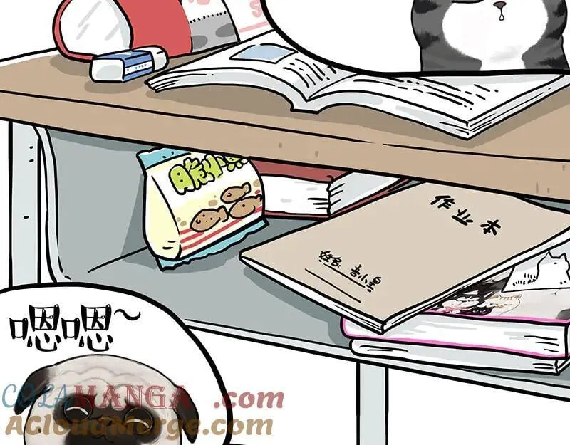 第428话 忘带了14