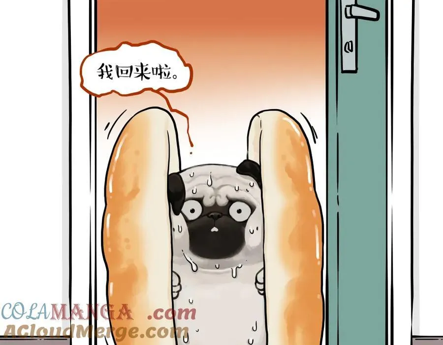 第437话 隐藏身份6
