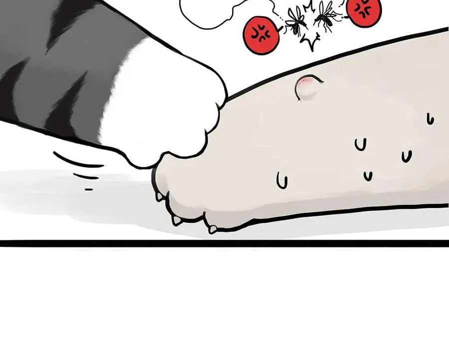 第433话 驱蚊妙计2