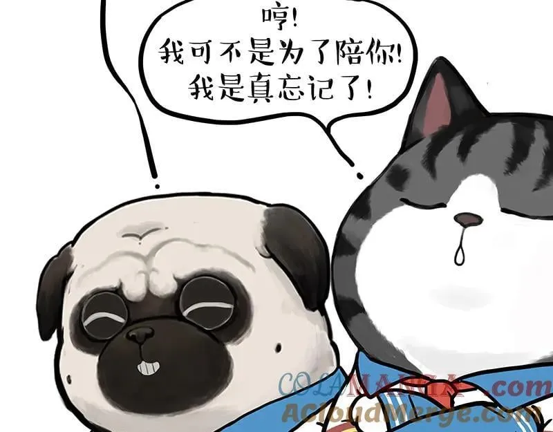 第428话 忘带了12